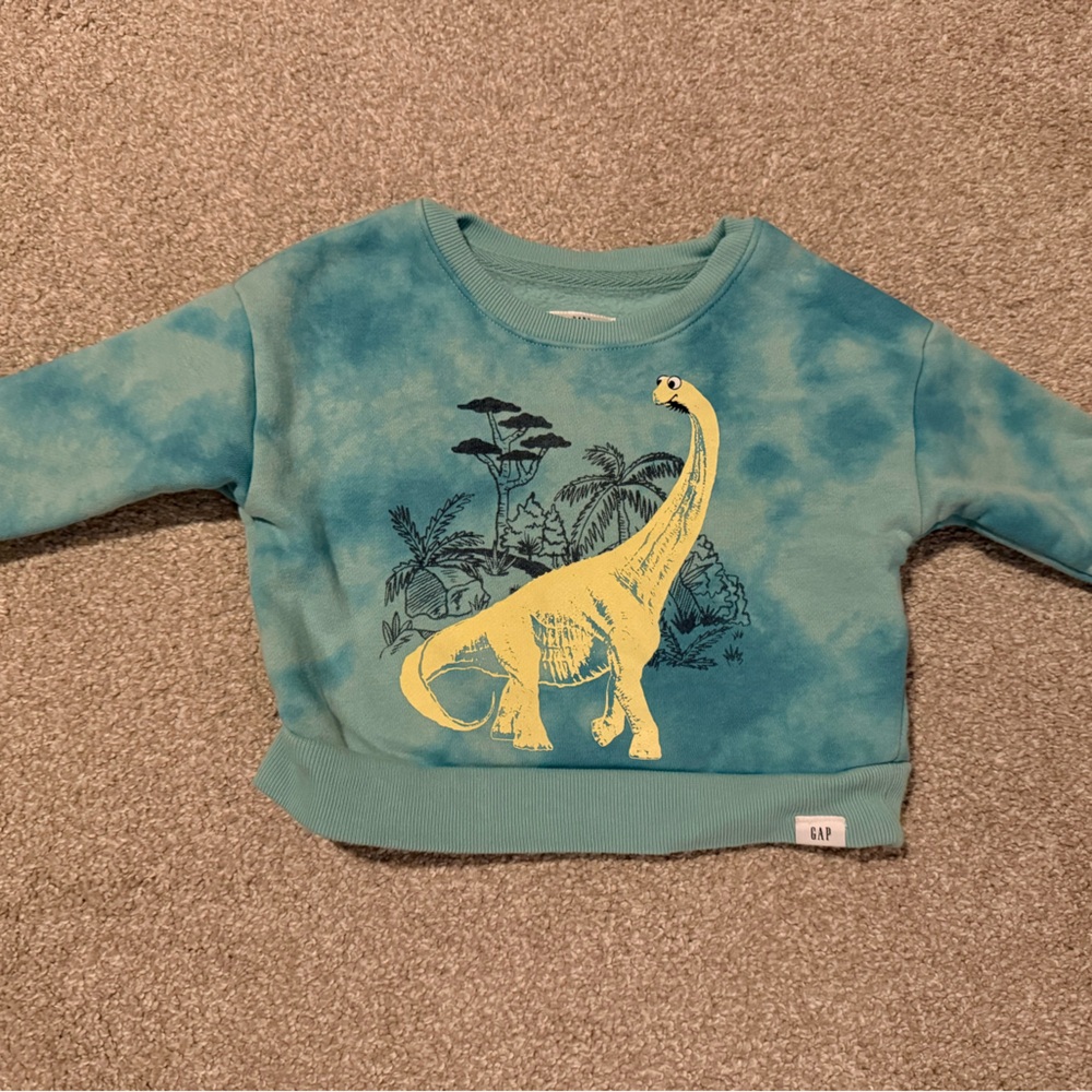 GAP Kids Teal Dinosaur Sweatshirt